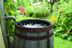Le tonneau récupérateur d&rsquo;eau de pluie
