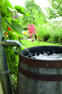 Le tonneau récupérateur d&rsquo;eau de pluie
