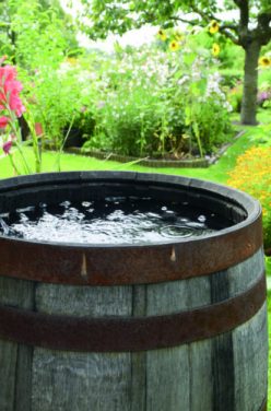 Le tonneau récupérateur d&rsquo;eau de pluie