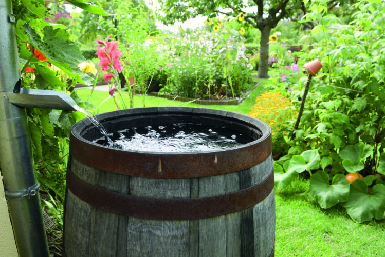 Le tonneau récupérateur d&rsquo;eau de pluie