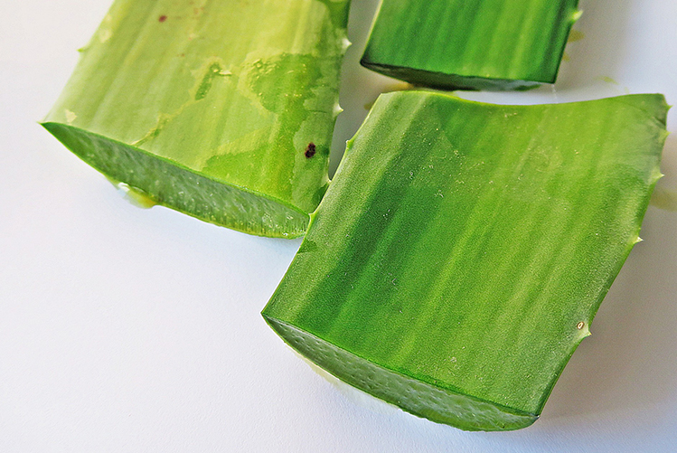 Pourquoi consommer du gel d&rsquo;aloe vera à boire ?