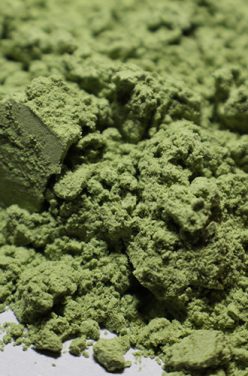 Superaliment : l&rsquo;herbe de blé en poudre et ses bienfaits