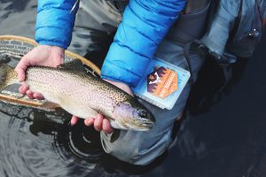 peche-durable-comment-choisir-poisson