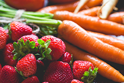 Les fruits et légumes bio d&rsquo;Avril