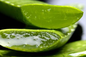 feuille-aloe-utilisation