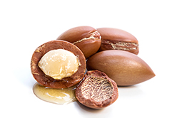 L&rsquo;huile d&rsquo;argan, un cadeau précieux