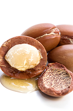 L&rsquo;huile d&rsquo;argan, un cadeau précieux