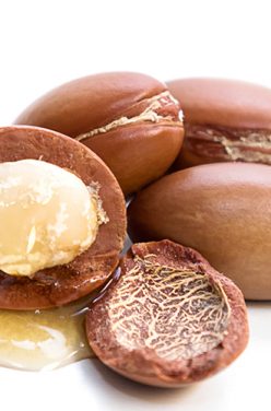 L&rsquo;huile d&rsquo;argan, un cadeau précieux