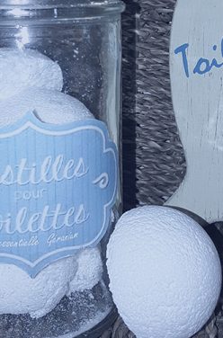 Réaliser des pastilles WC écologiques