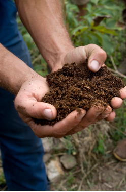 L&rsquo;occultation, l&rsquo;astuce pour votre jardin