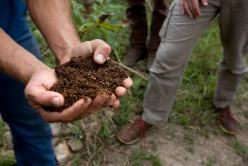 L&rsquo;occultation, l&rsquo;astuce pour votre jardin