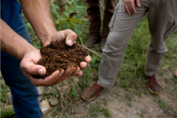 L&rsquo;occultation, l&rsquo;astuce pour votre jardin