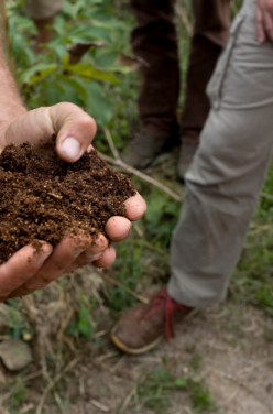 L&rsquo;occultation, l&rsquo;astuce pour votre jardin