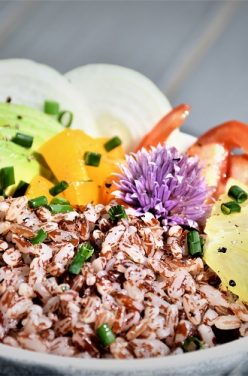 Le riz rouge du Kerala par Ecoidées