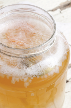 Le kéfir, une boisson ancestrale aux mille vertus